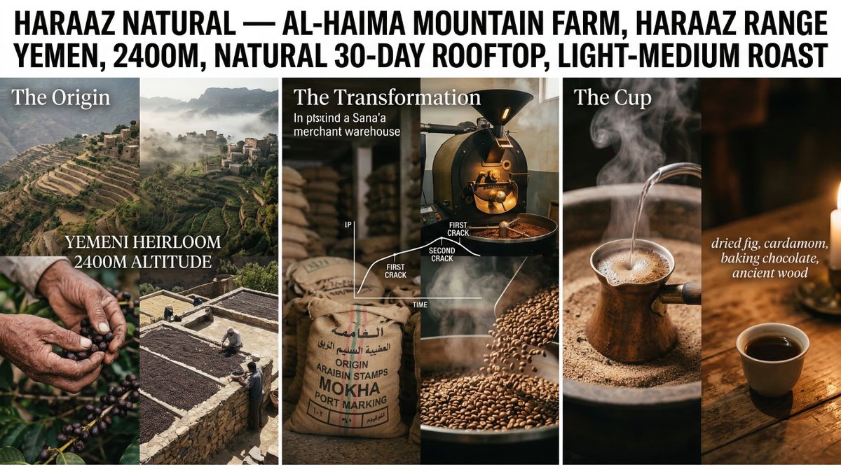 提示工作室：使用 Firefly 中的 Nano Banana 2 制作的咖啡之旅板 一张从 [ORIGIN]（产地）到杯中 [VARIETY / PROCESS / ROASTER]（品种...