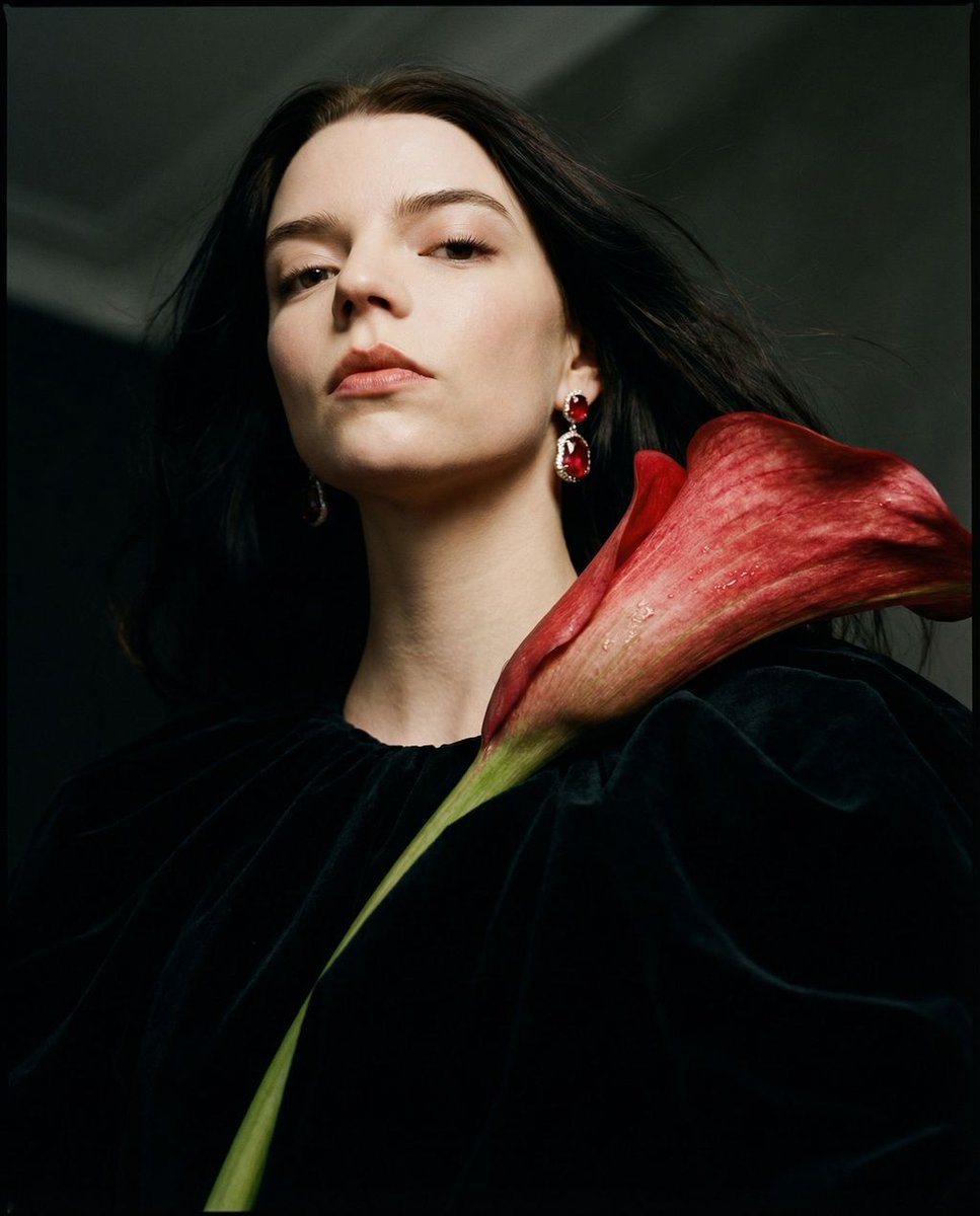 女性, The Protagonist, Universal/Neutral, Soft, distinct jawline emphasized by angle, visible skin...