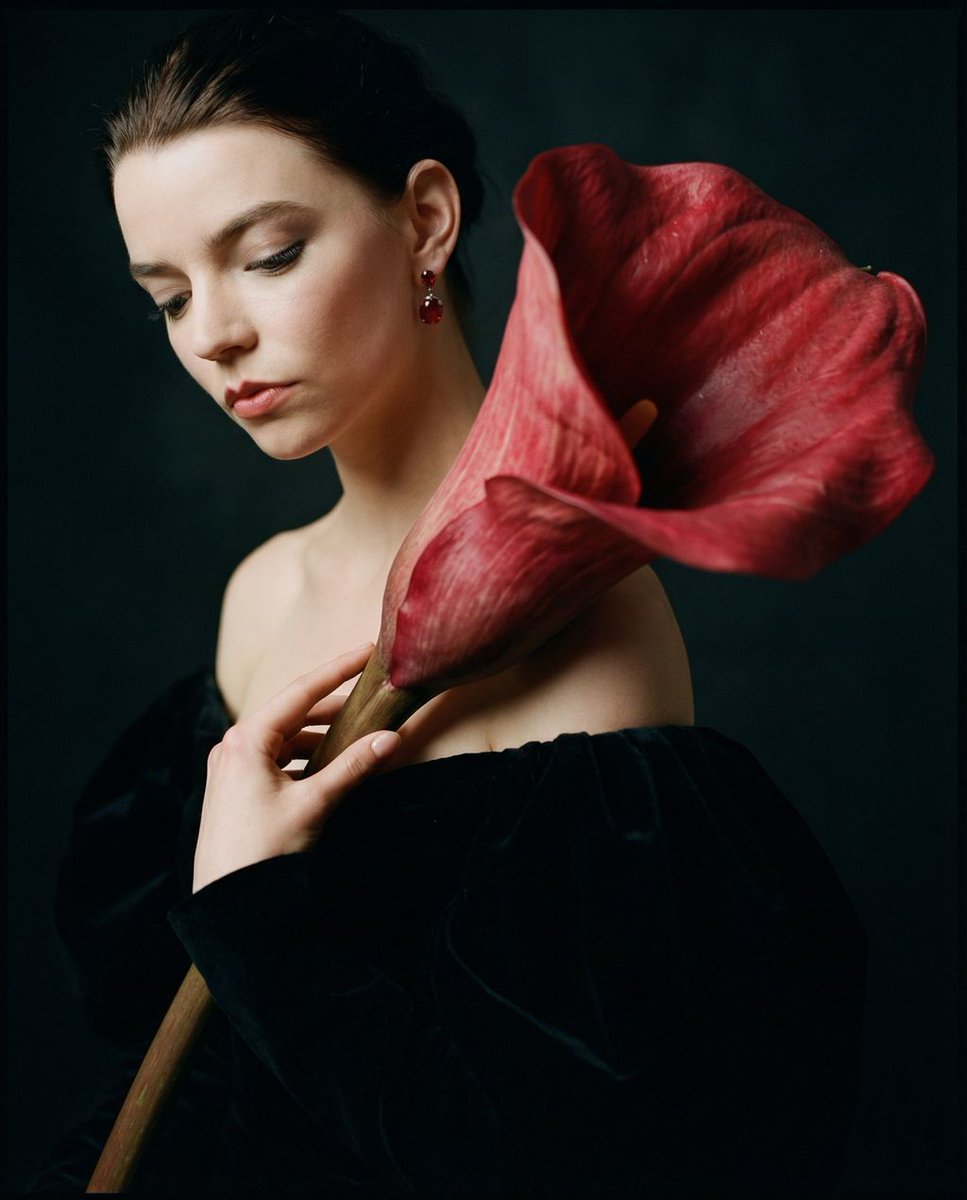 女性, The Protagonist, Universal/Neutral, Soft, distinct jawline emphasized by angle, visible skin...