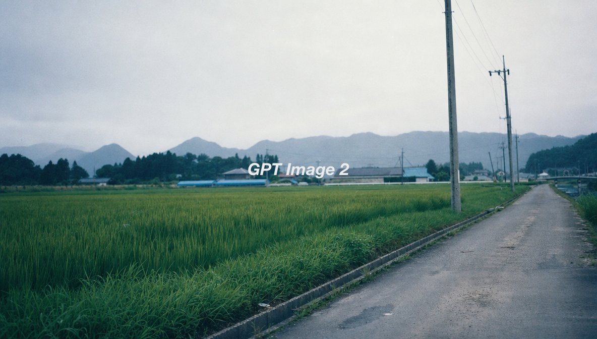 电影风格静态帧， 夏季日本乡村稻田景观， 沿狭窄农田道路拍摄的四分之三角度视角， 阴沉沉的淡色天空下翠绿色的稻田， 向远方延伸的电线杆， 去饱和度，略微偏冷的色彩分级， 柔和对比度， 偏离中心...