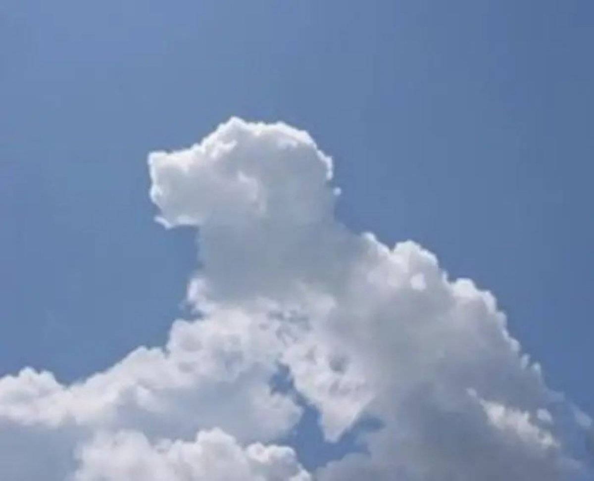 https://t.co/nOklsy1dUA 以所提供图像中云朵的可见形状为指引，判断云朵轮廓最像哪种物体、动物或人物。保持原始图像完整，不要改动底层照片；将识别出的图形以涂鸦艺术风格直接叠...