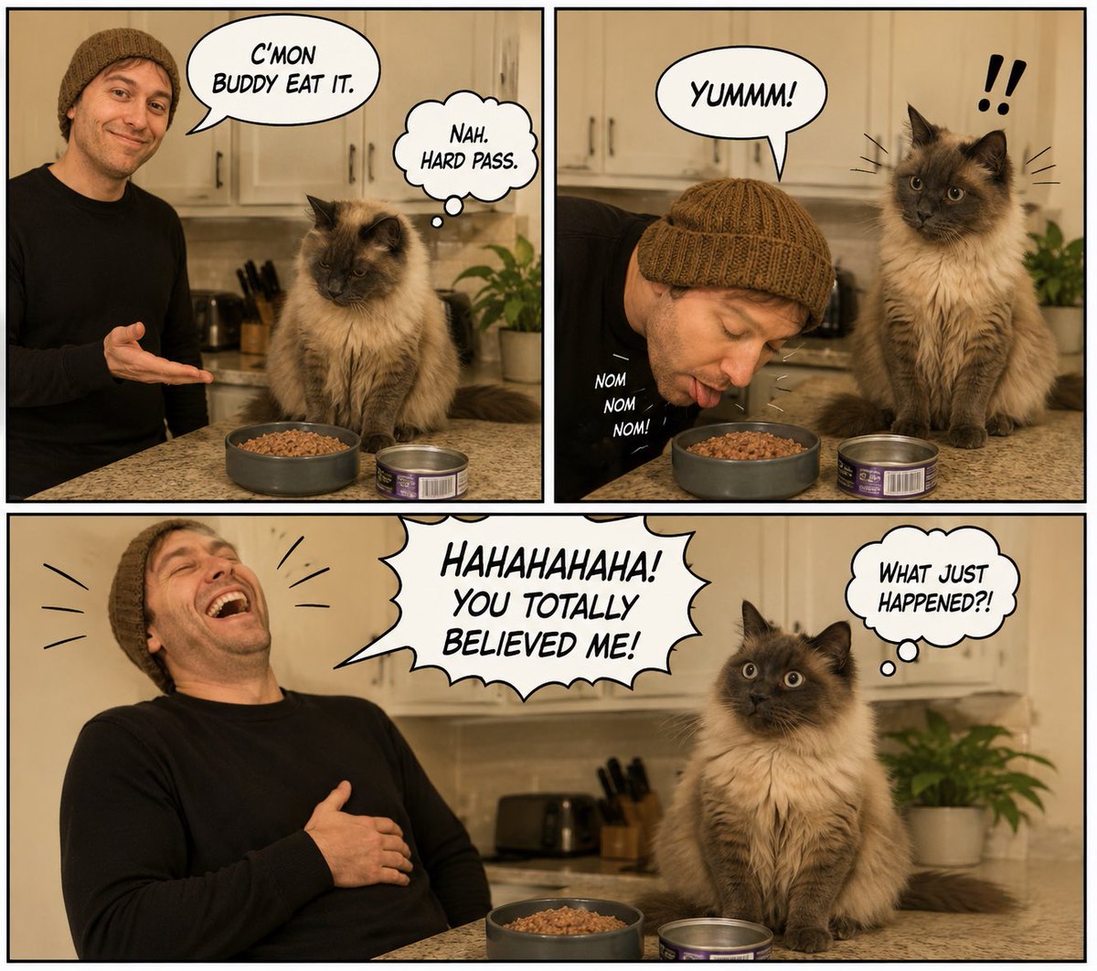 你能画一幅关于我和我的猫的多格连环漫画吗？ 故事是这样的： 第一格：我站在我的猫旁边，猫坐在厨房台面上，猫旁边有一碗湿猫粮，碗旁还有一个空的猫粮罐头。我说："来吧伙计，吃吧"。猫显然不感兴趣，...