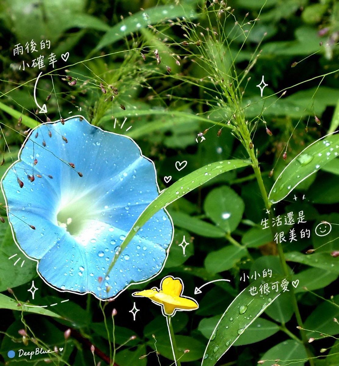 在圖片上方加上一層手繪疊加。最終成品要時髦、放鬆、毫不費力地隨性。繪製規則：用細細的手繪線條，像是用白色筆畫上去。保持單筆勾勒風格：粗糙、略帶不...